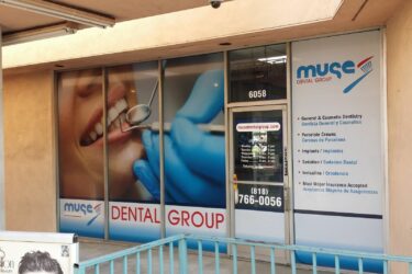 Dental Clinic - Muse Dental Group - Window Graphics - Digital Printing - Vinyl - Window Decals